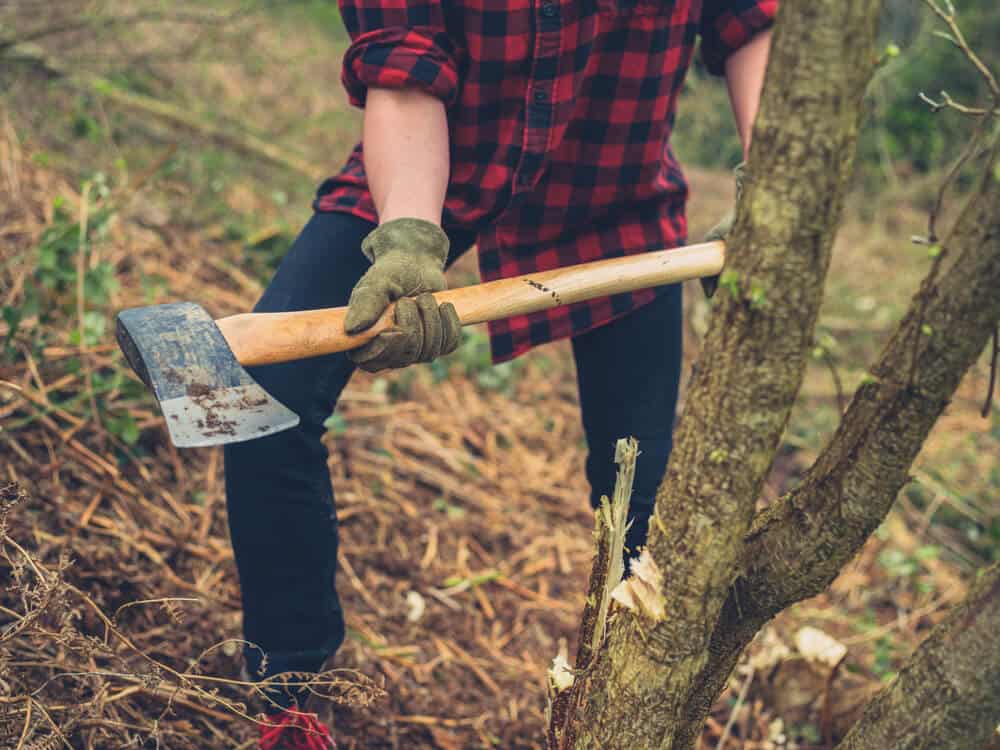 Felling Axe vs. Splitting Axe: The Difference Between 2
