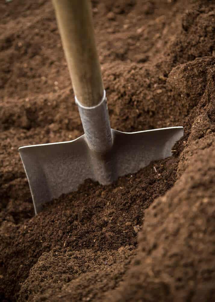 How The Taper Mouth Shovel Is Changing Gardening Forever 8